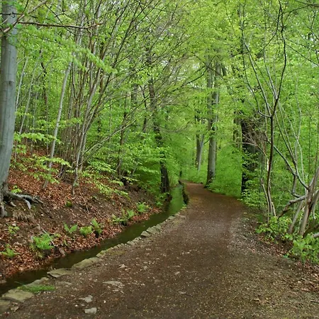Gasthuis Saechsisches Gemeinschafts-diakonissenhaus Zion E. V.