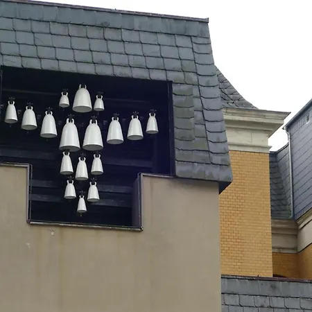 Gasthuis Saechsisches Gemeinschafts-diakonissenhaus Zion E. V. Aue (Saxony)