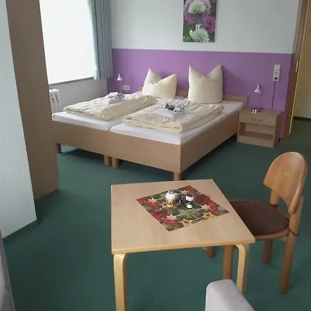 Gasthuis Saechsisches Gemeinschafts-diakonissenhaus Zion E. V. 3*